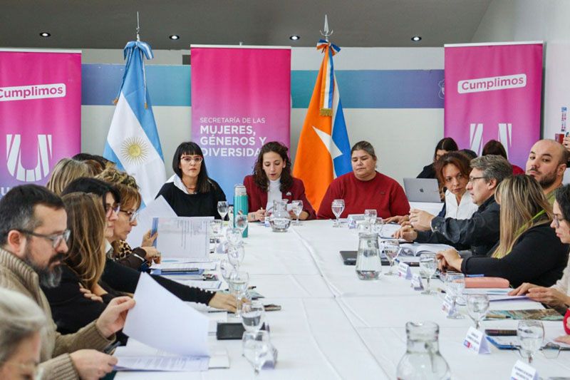 Se realizó un nuevo encuentro del Consejo Consultivo 