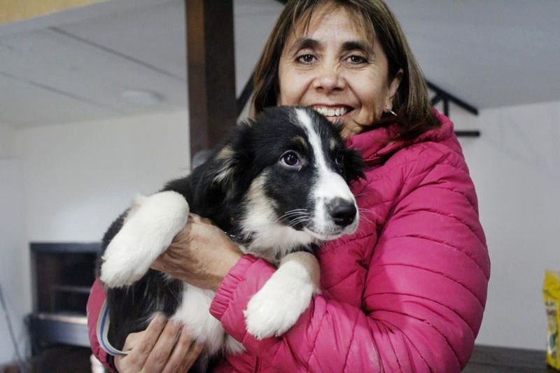 ‘Zoonosis Más Cerca’ brindó atención veterinaria en Andorra