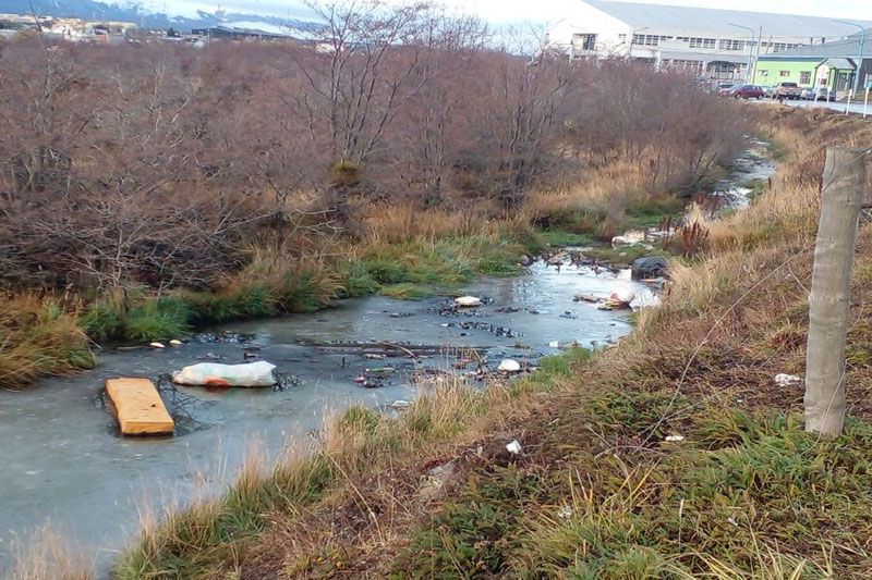 La basura y los turbales urbanos 