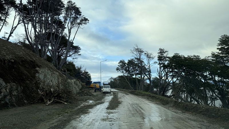 Hacía el Este se puede talar y atentar contra los pájaros carpinteros