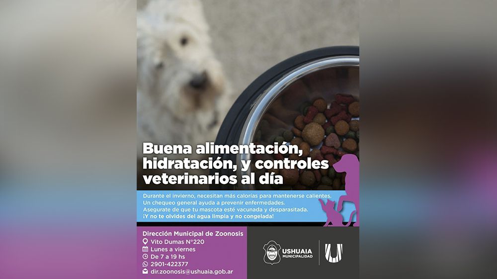 Zoonosis recuerda la importancia del cuidado integral de mascotas 