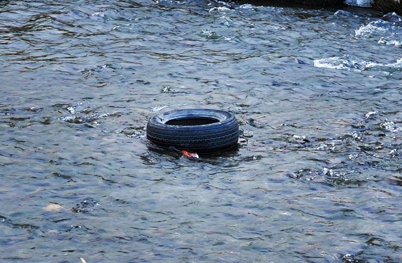 Parece que alguien no entendió