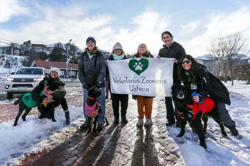 Exitosa Jornada de Salud Animal en el Paseo de las Rosas