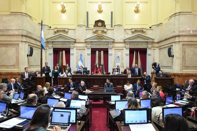 Francos calificó la sesión del Senado como “un golpe institucional”