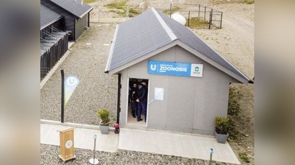 Zoonosis intervino ante el ataque de dos perros en el barrio Los Morros