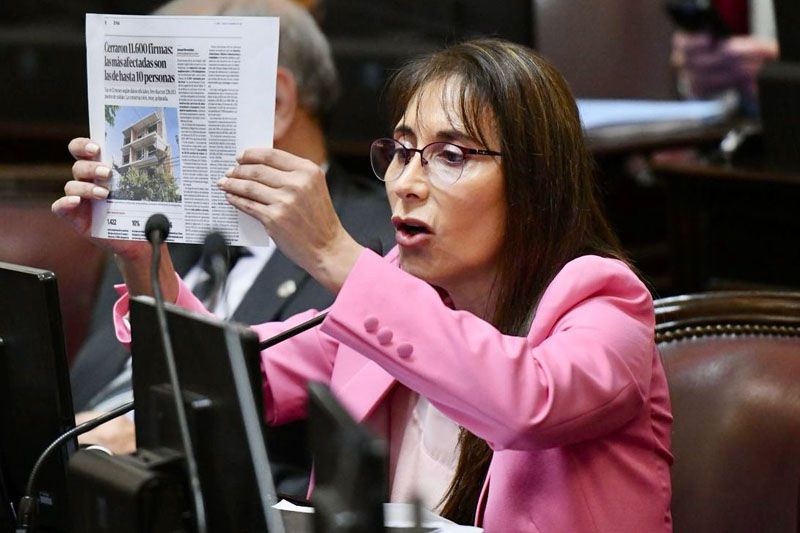 Cristina López pidió insistir las leyes que Milei vetó