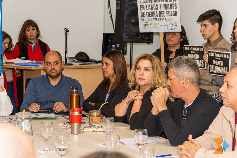 El dictamen de la discordia
