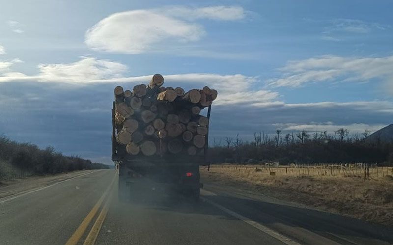 Llamado de atención 