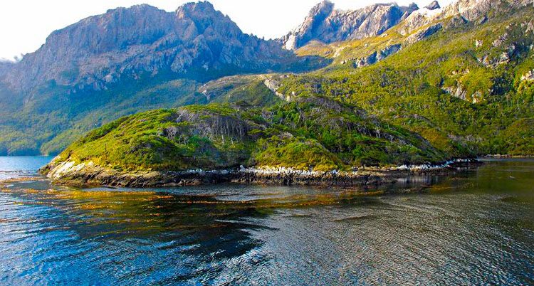 Firman contrato para explotar madera en isla de los Estados