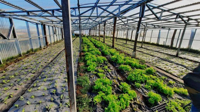 Sello Fueguino suma protocolo para el sector frutihortícola