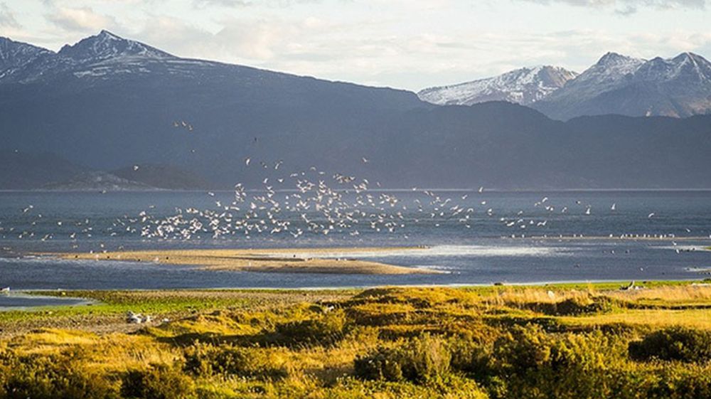Jornadas primaverales para Ushuaia