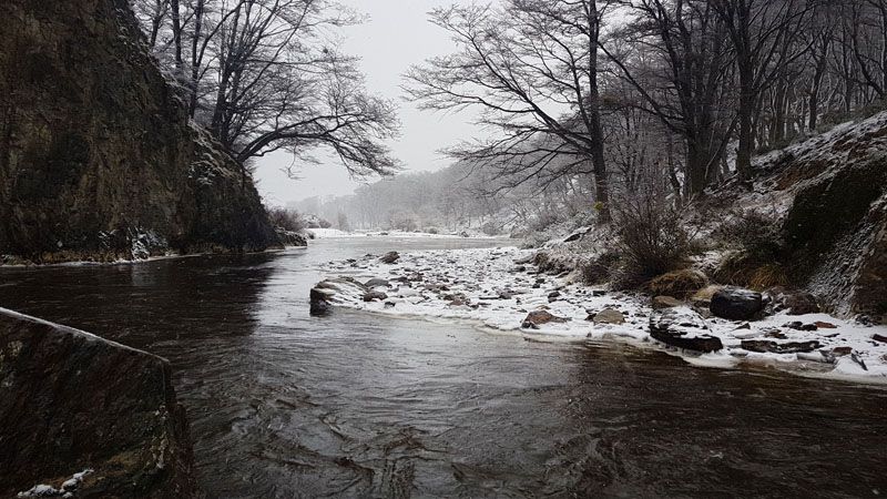Rescataron con vida a un joven tras dos días desaparecido 