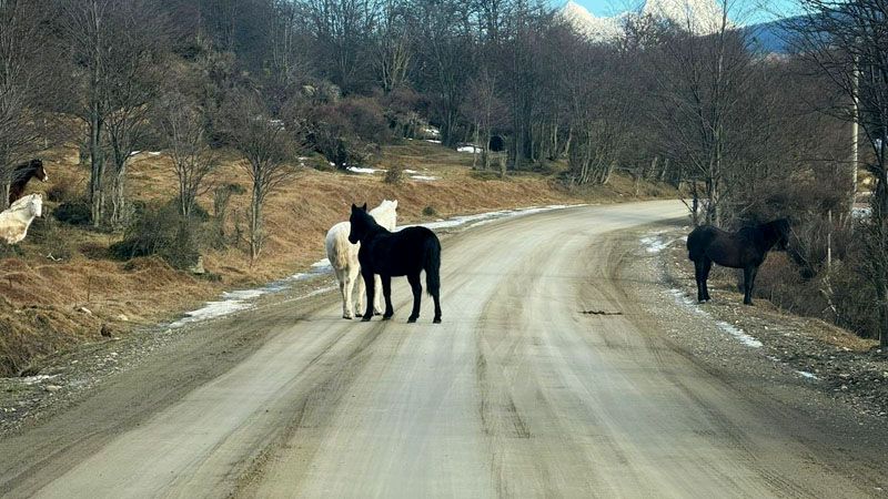 Paisaje de postal… con siniestro incluido