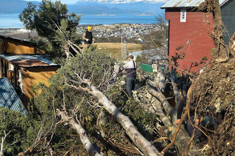 El COE municipal coordinó intervenciones frente al temporal de viento