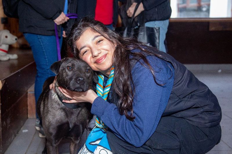 Zoonosis invita a los cursos de Primeros Auxilios Veterinarios