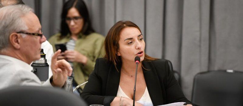 Freites cuestionó vetos y pidió interpelar al jefe de gabinete