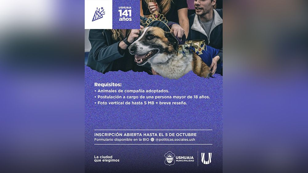 Comenzaron las inscripciones para ‘Rey y Reina de Cuatro Patas 2025’