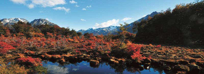 Los senderos que invitan a redescubrir Ushuaia