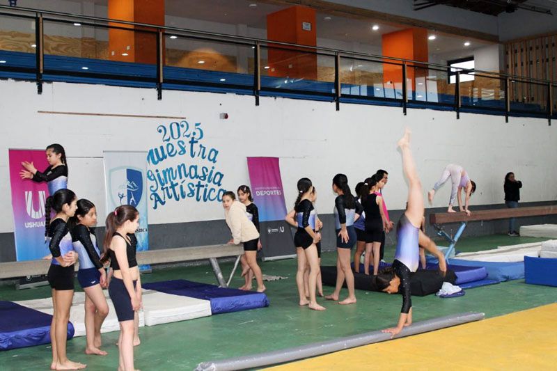 La Escuela Municipal de Gimnasia Artística presentó su 2ª Muestra Anual