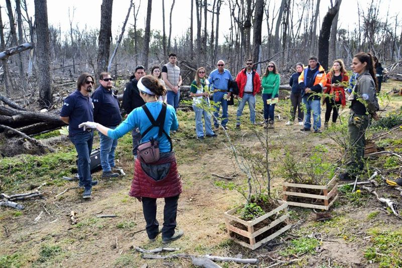 Avanzan acciones de recuperación ambiental 