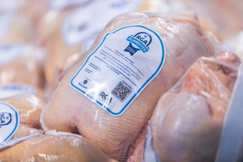 Los pollos de Río Grande alcanzan la Antártida 