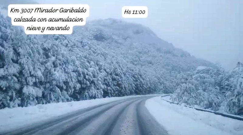 Verano, modo pingüino