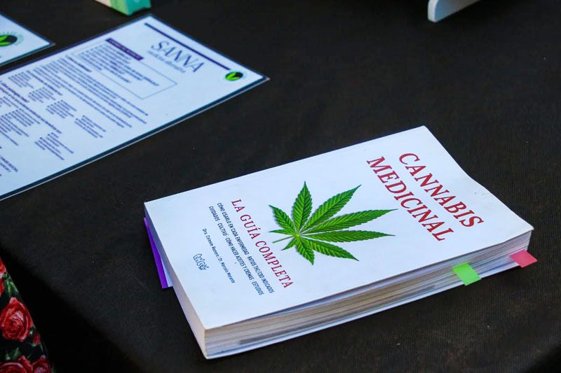 El gobierno reglamentó el uso medicinal de Cannabis y sus derivados