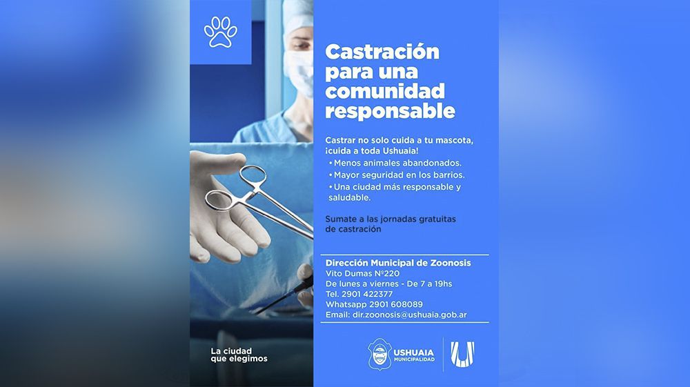 Zoonosis impulsa jornadas gratuitas de castración 