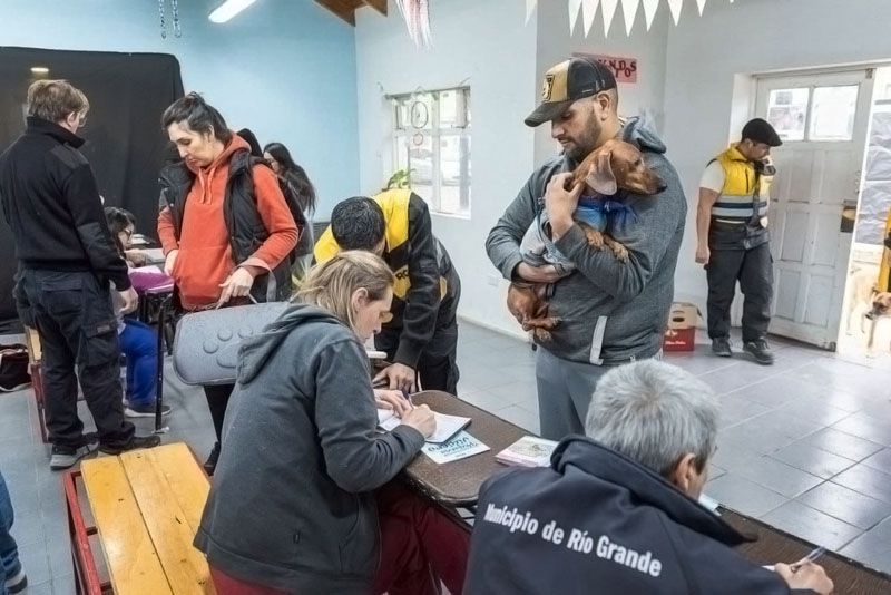 Mascotas: Río Grande asume 900 castraciones mensuales