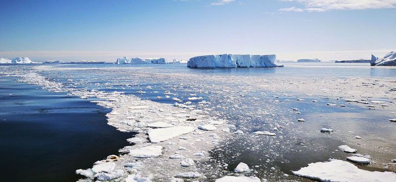 Detectan sustancias tóxicas en aguas cercanas a la Antártida