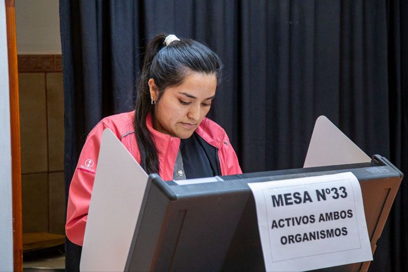 El voto remoto facilitó la participación 