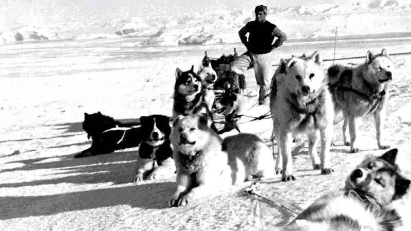 Depredadores y héroes