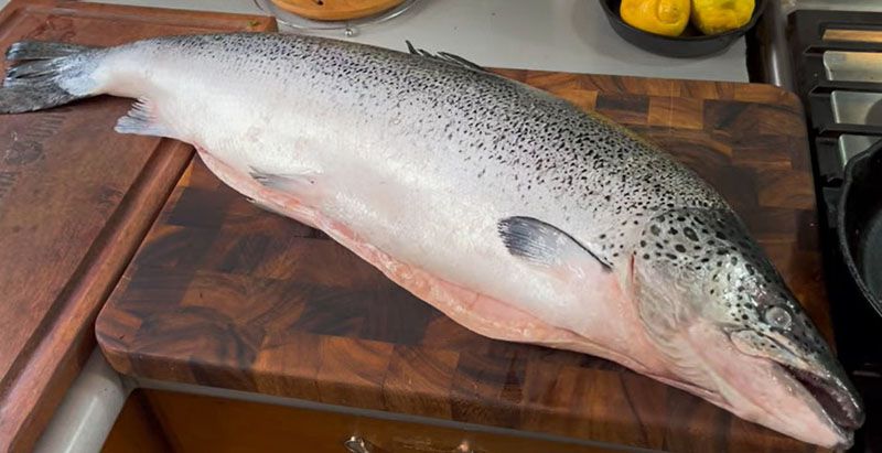 Hoy se sirve salmón al plato 