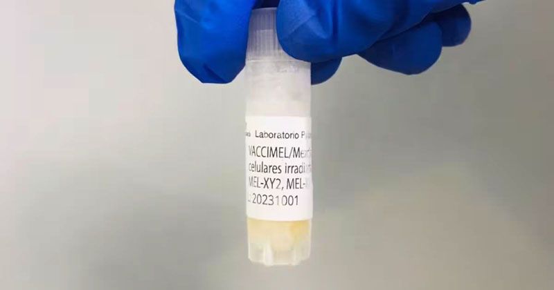 Científicas argentinas logran un hito contra el melanoma