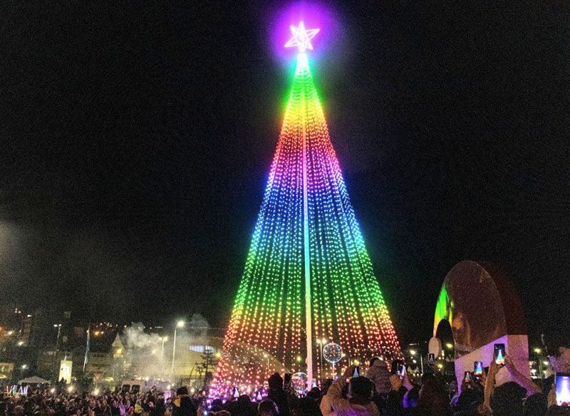 Miles de ushuaienses disfrutaron el encendido del árbol navideño