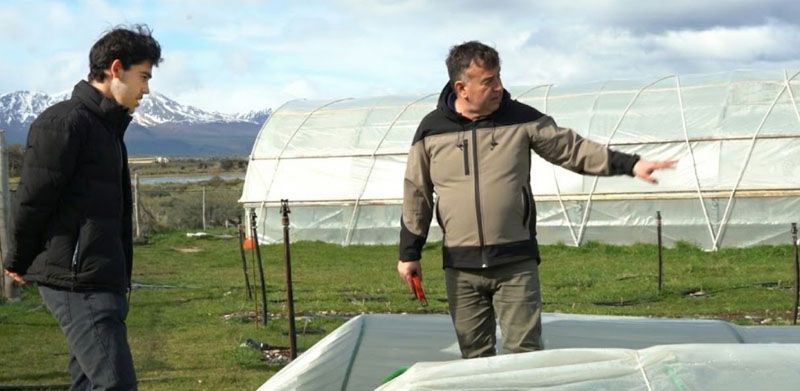 El primer viñedo más austral del planeta avanza en Ushuaia