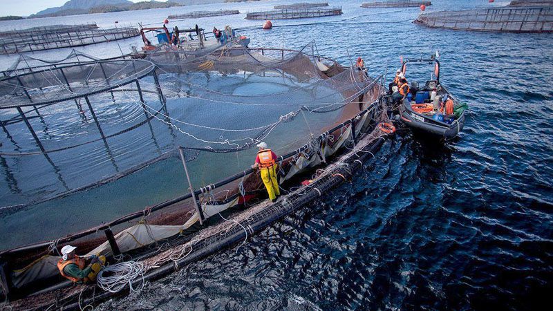 Un planeta bajo presión: producir, viajar y preservar en tiempos de límites