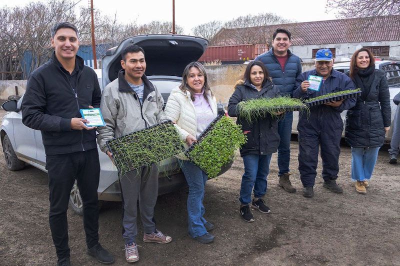 Río Grande incrementa su producción hortícola 