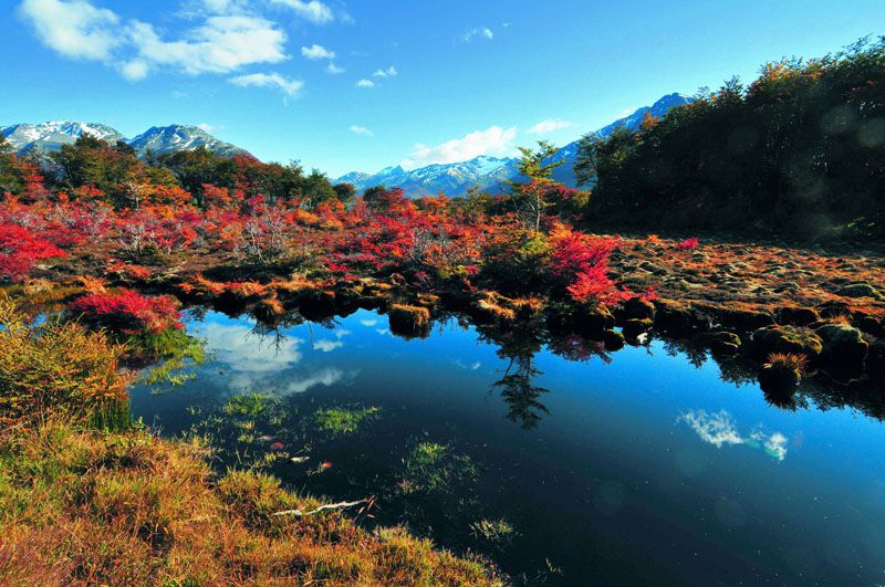 Arakur y el Municipio proyectan una reserva natural de 175 hectáreas