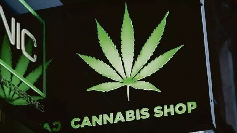 Promulgaron la ordenanza que regula los shops cannábicos