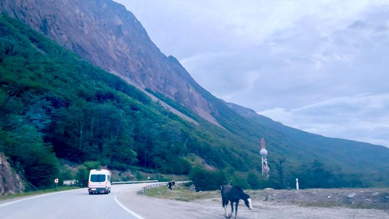 Cuando la desidia trota por la ruta