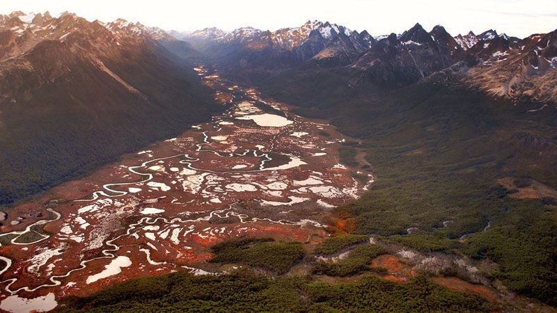 Avanzan en acuerdo clave para proteger las turberas patagónicas