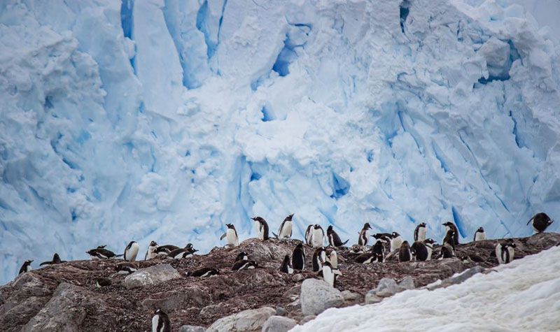 El CCNA reabrió con una mirada sobre la Antártida