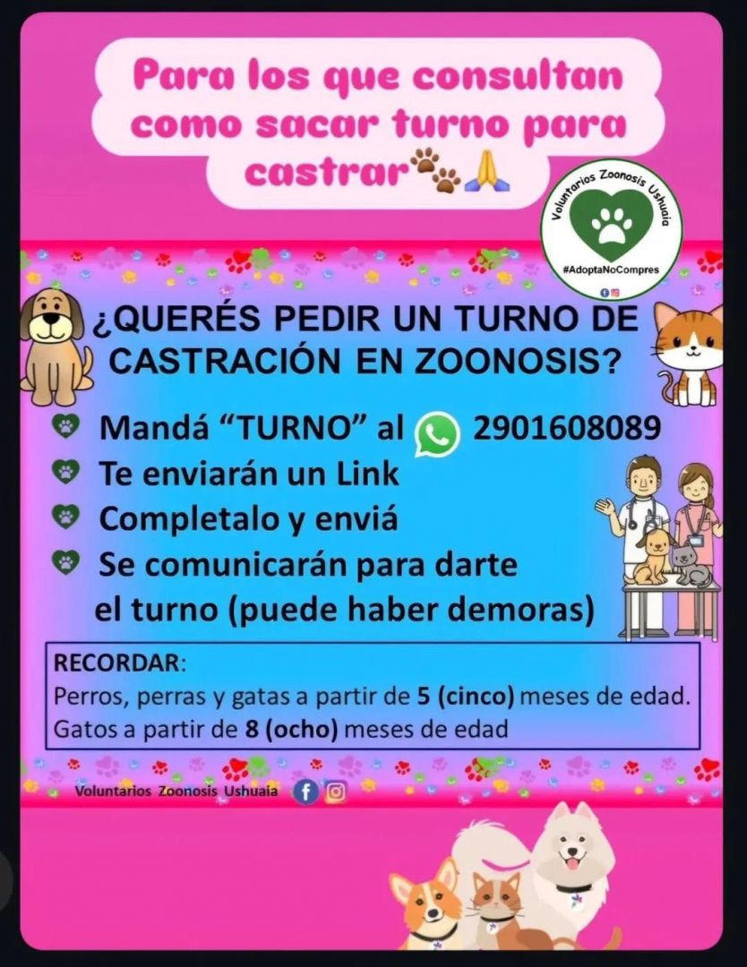 Voluntariado de Zoonosis recuerda la importancia de la castración 