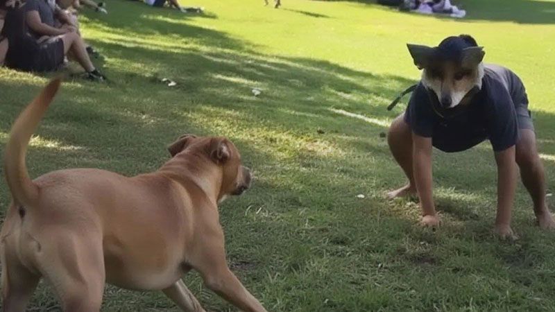 Claves psicológicas para entender el fenómeno ¨Therian¨