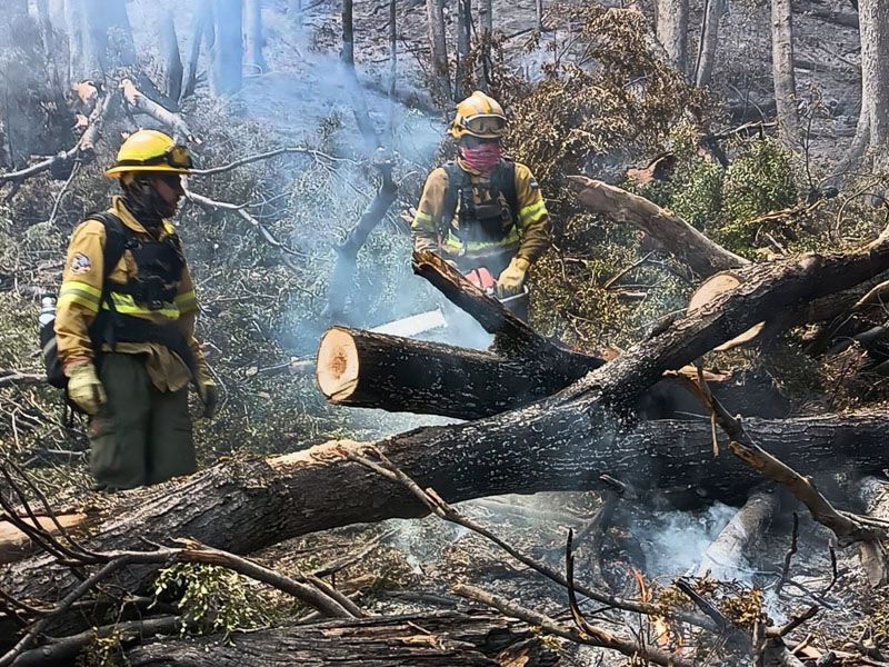 Tierra del Fuego envía brigadistas a Los Alerces