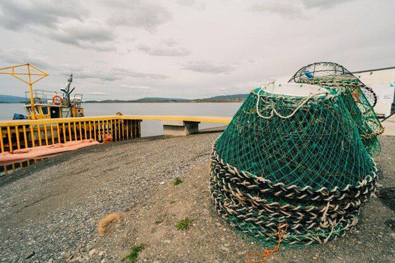 Capacitación en emprendedurismo de mar