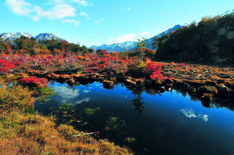 El Concejo vuelve a postergar a la Reserva Alarkén