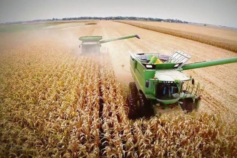 Ganadores y perdedores del segundo año de Milei