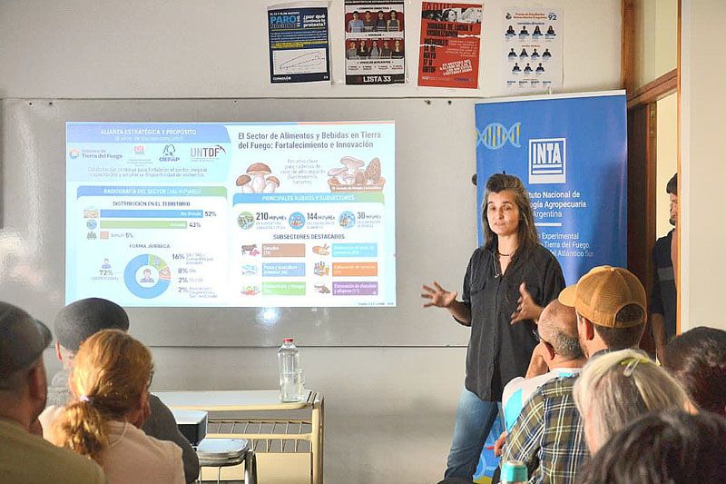 El cultivo de hongos gana espacio como alternativa productiva 